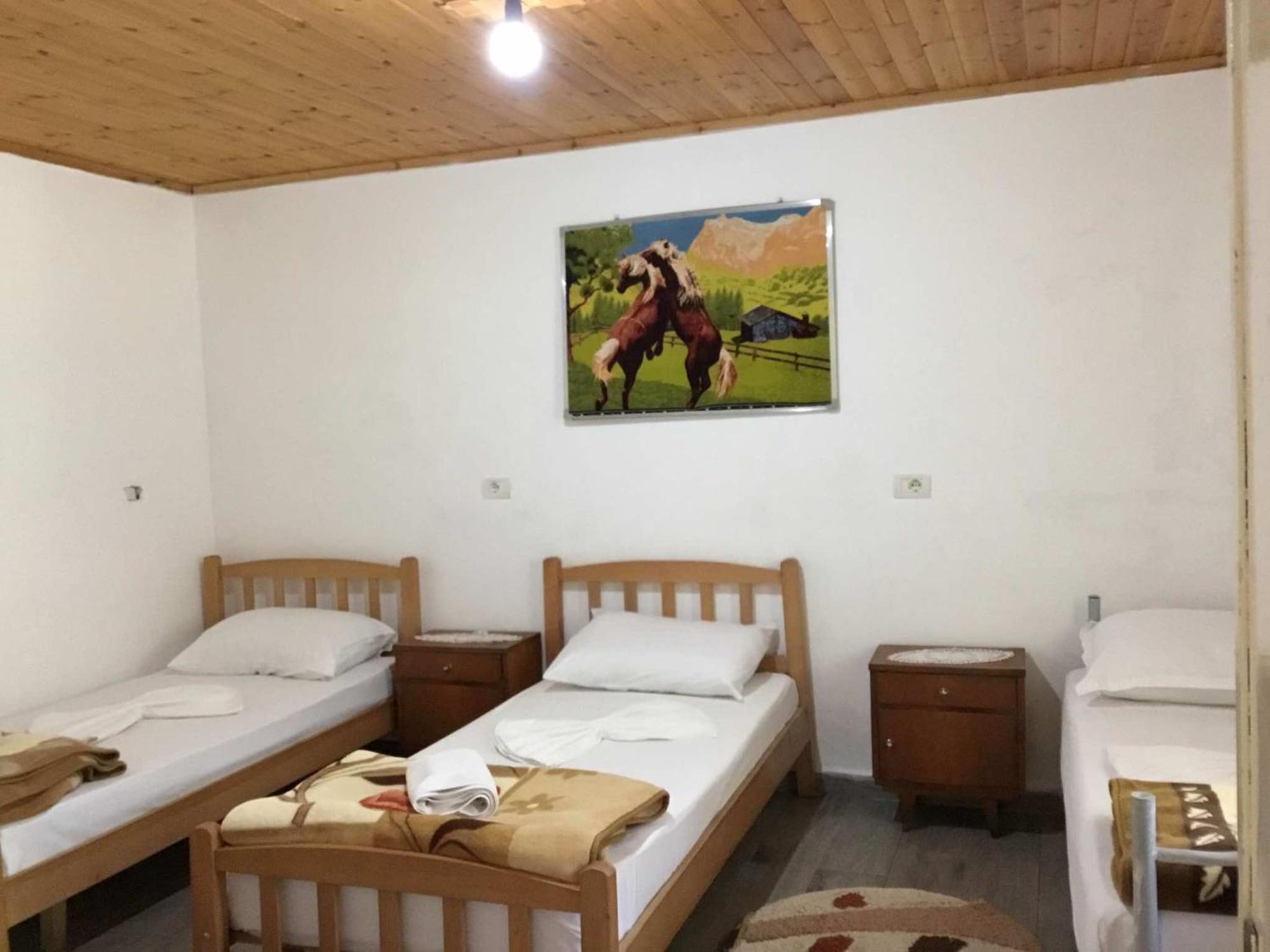 Zariklis Hotell Theth Exteriör bild